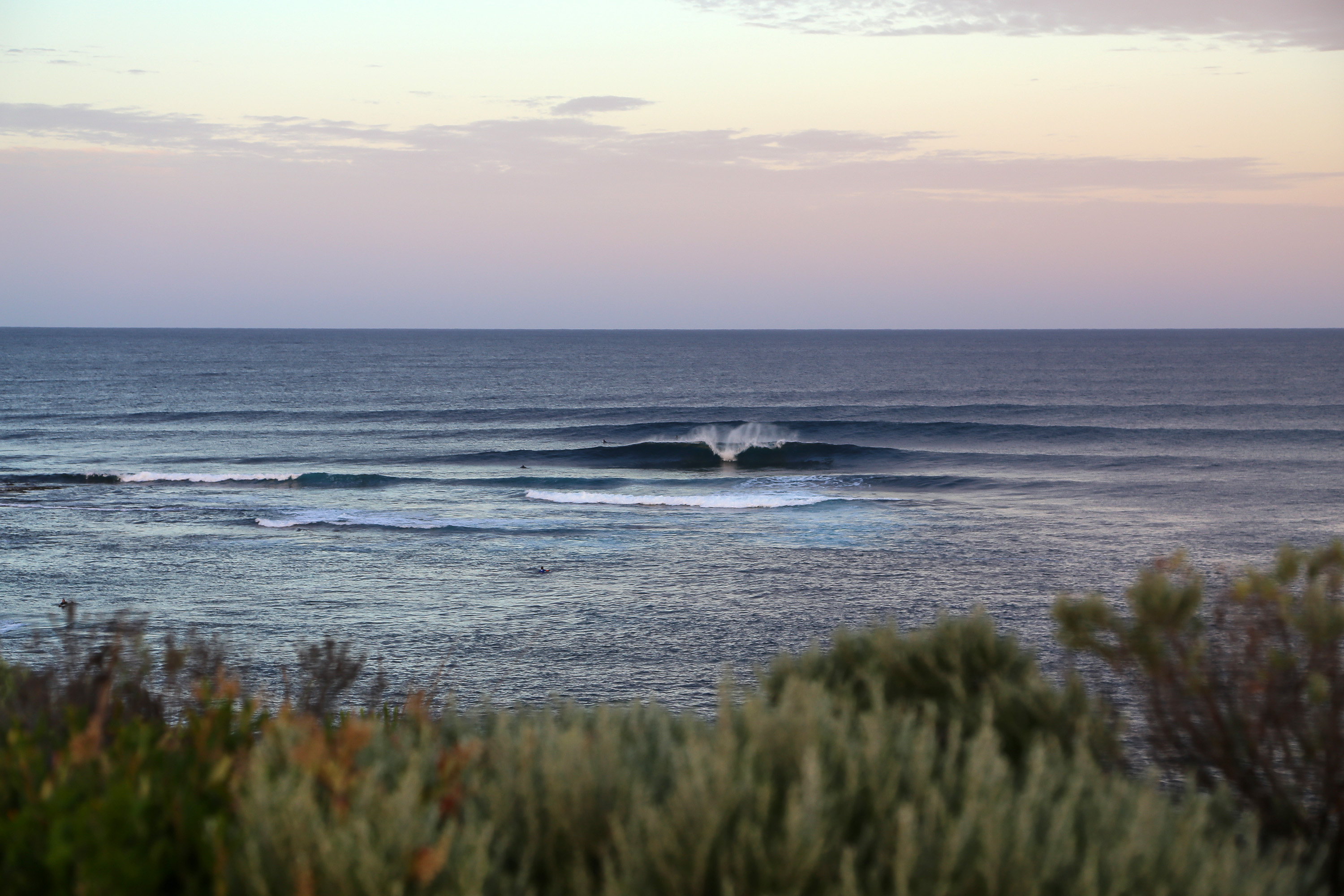 Wajt D2 014 Woolacott