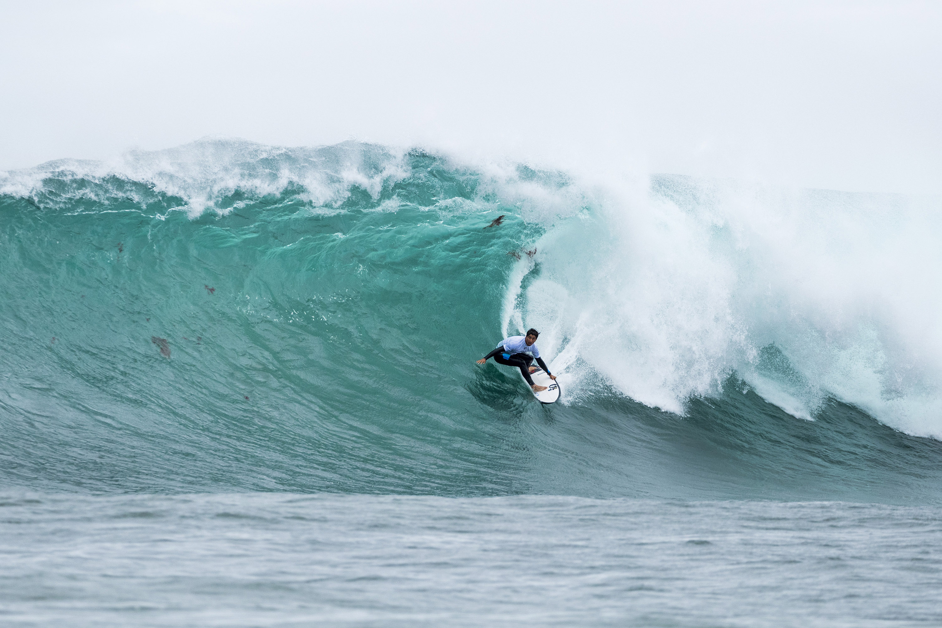 Pupo M5548 Margaretriver18cestari N