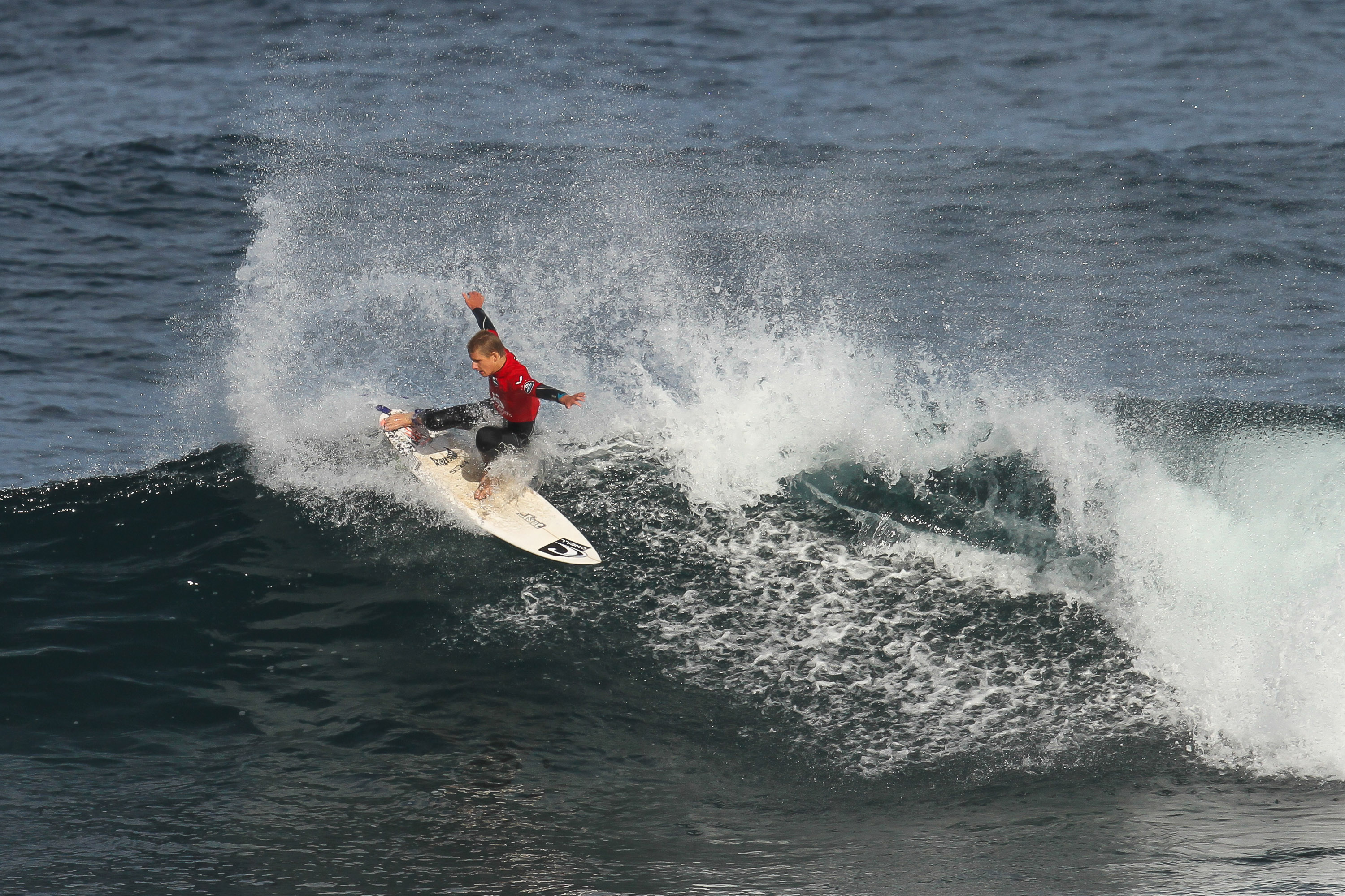 Wajt D2 Jed Gradisen 3 Woolacott