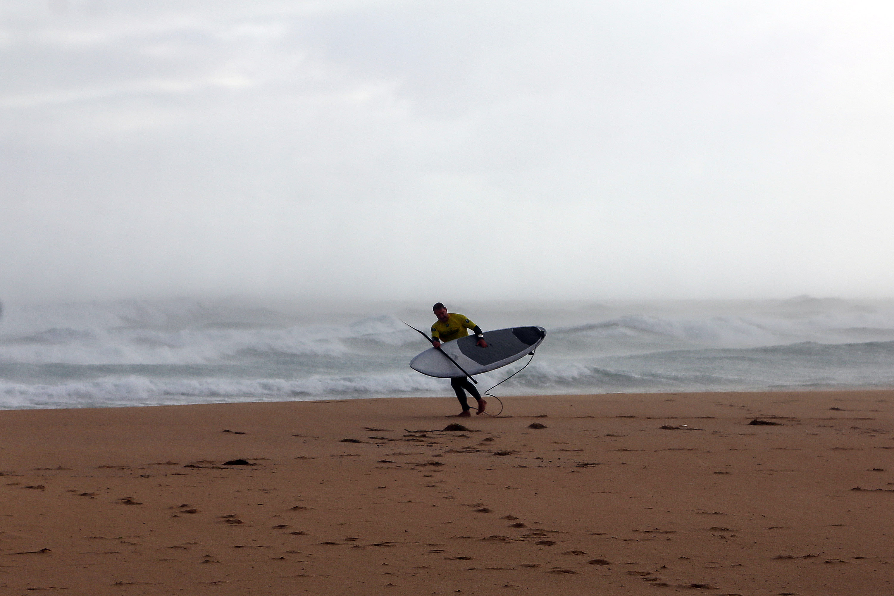 Wa Sup2 0010 Woolacott