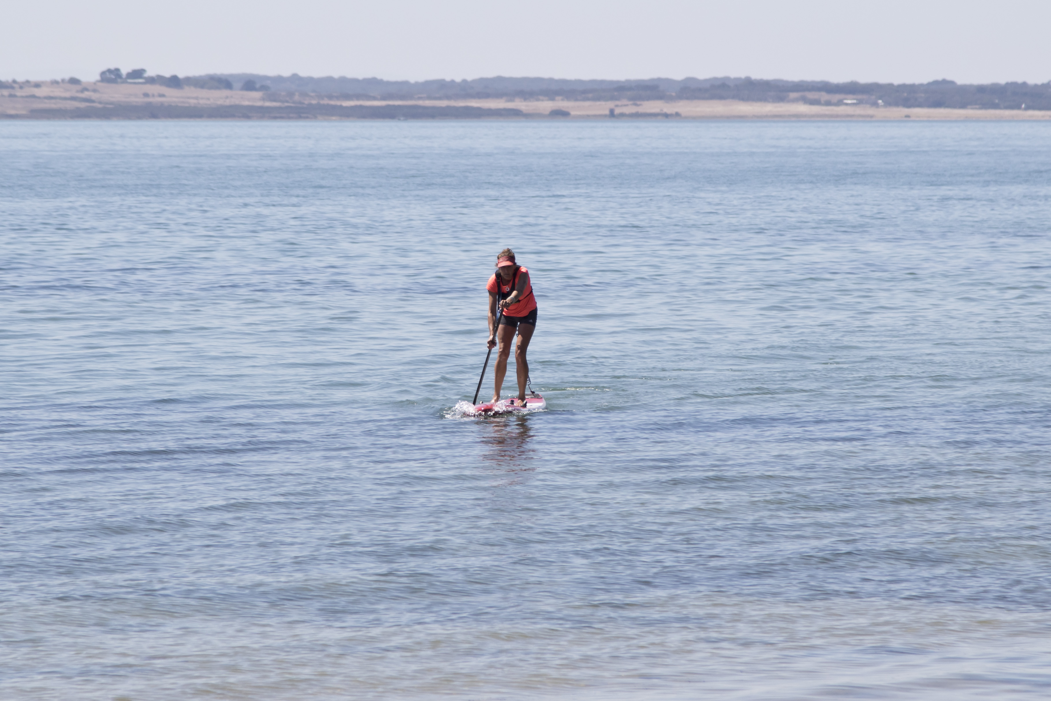 Jean Ringrose Vic SUP Titles19 Lr001