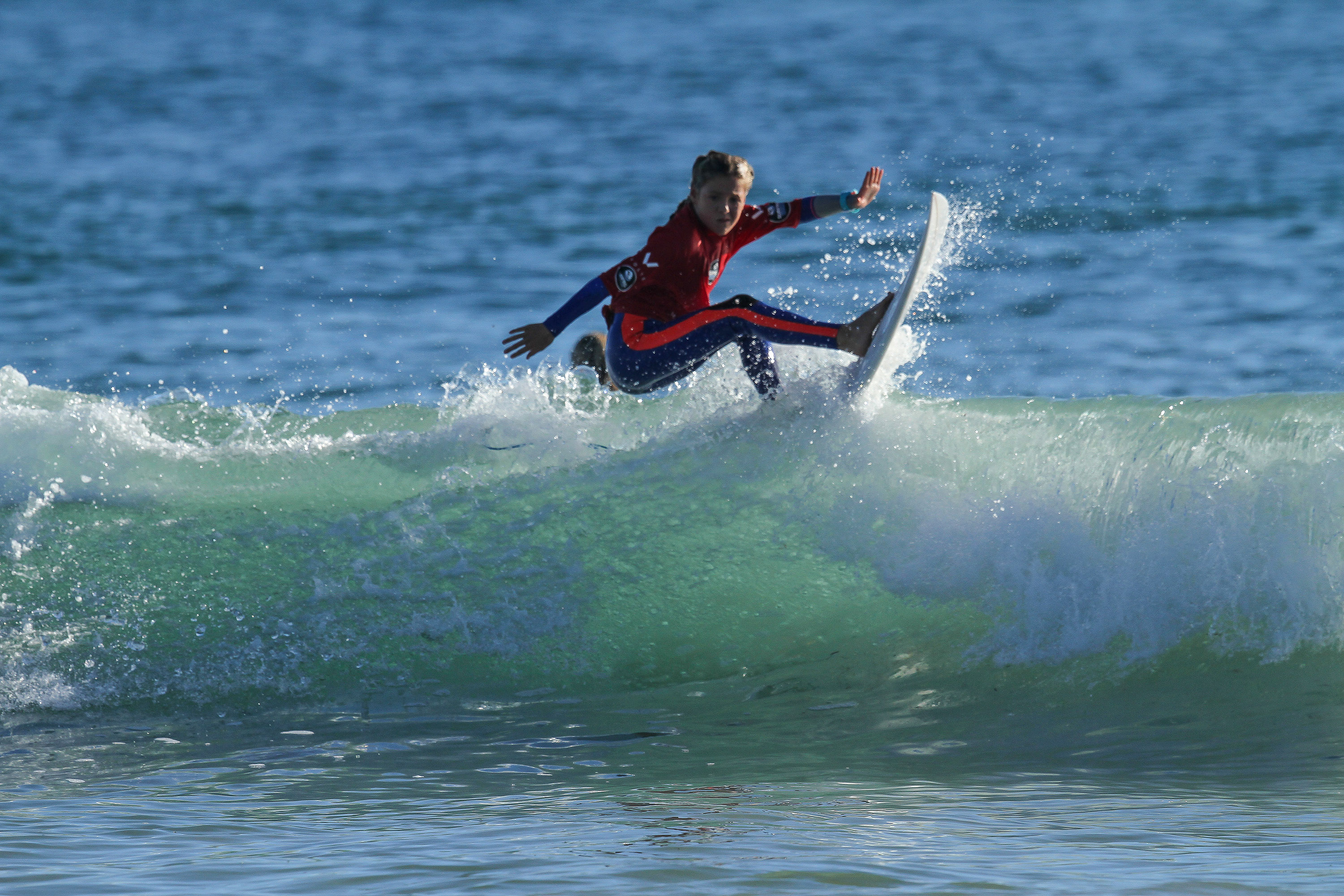 Wajt2 D2 Willow Hardy Woolacott